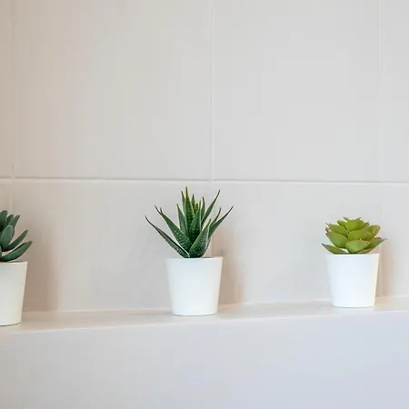 Bologna41 Appartement