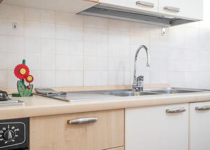 Bologna41 * 帕爾馬